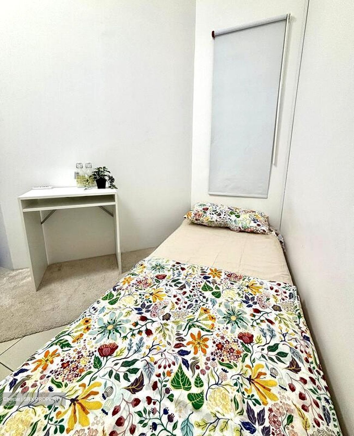 Astoria Park (D14), Condominium #524950721